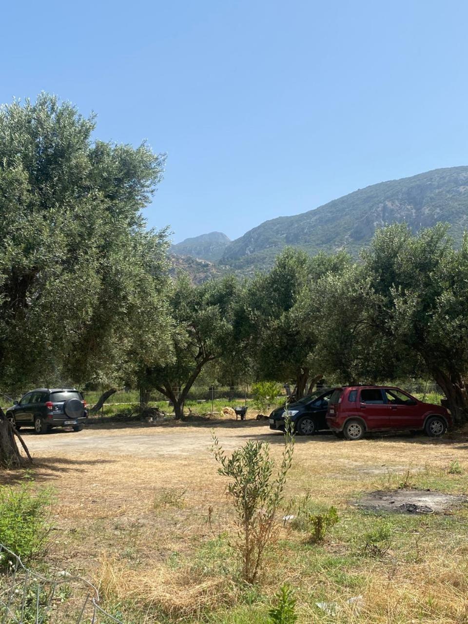 Irini'S Guesthouse Κηπαρό Εξωτερικό φωτογραφία