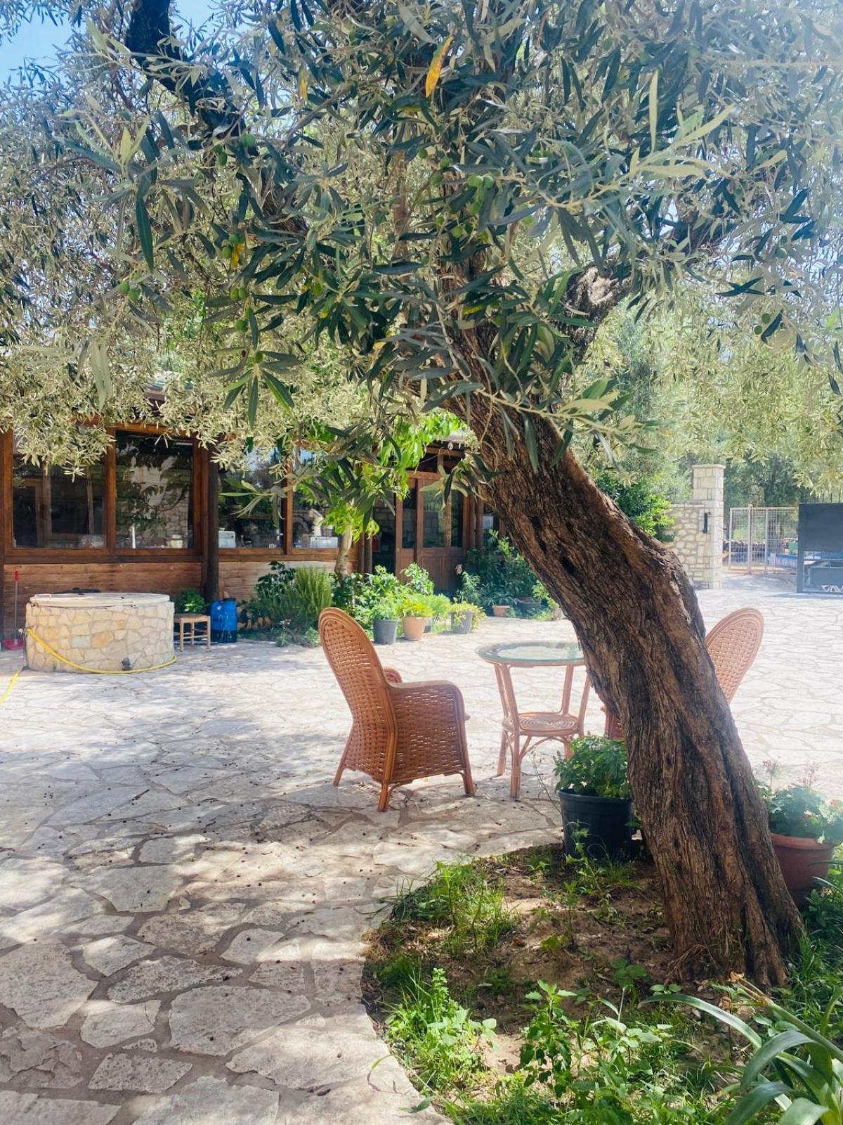 Irini'S Guesthouse Κηπαρό Εξωτερικό φωτογραφία